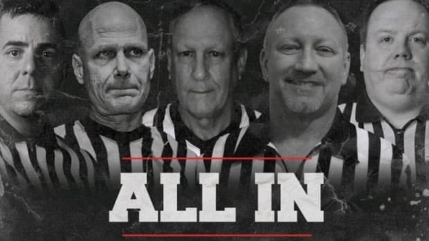 all in referees