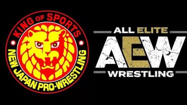 New Japan Pro Wrestling/All Elite Wrestling