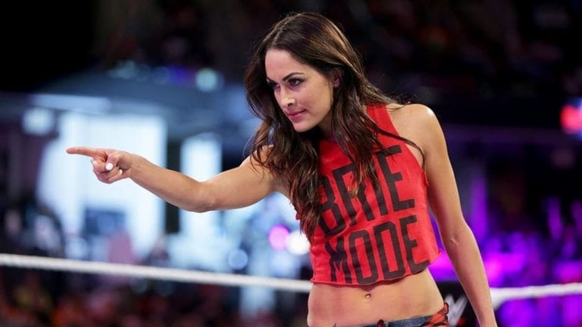 Days after retiring, The Bellas talk comeback - Cageside Seats