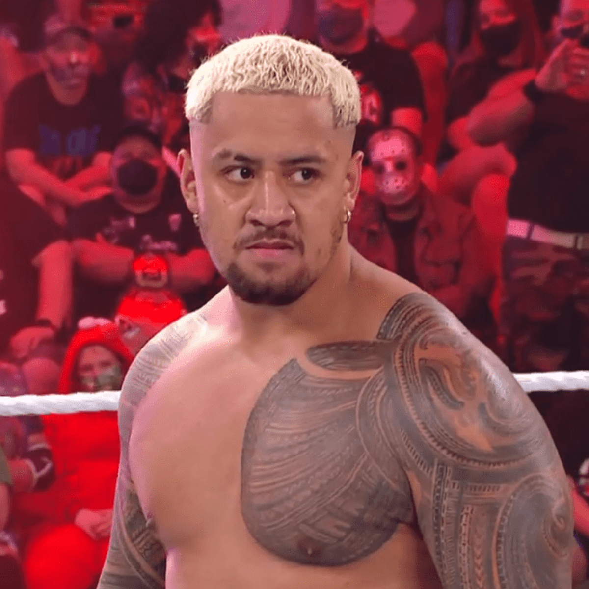 1200px x 1200px - The Uso's younger brother, Solo Sikoa, made his debut on WWE NXT -  Wrestling News | WWE and AEW Results, Spoilers, Rumors & Scoops