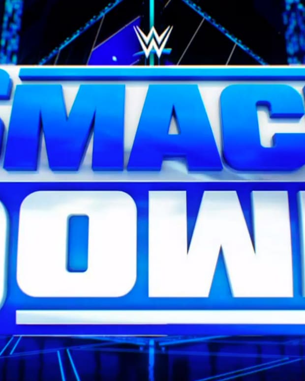 WWE Friday Night SmackDown logo 2