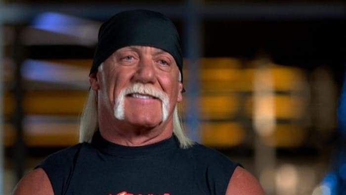 Hulk Hogan says he's 