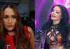 nikki bella paige WWE